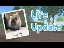 Life Update