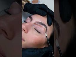 These brows on this girl 🔥 #huyanabeauty