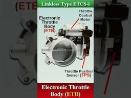 Electronic Throttle Control System