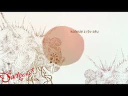 Święci - Galeria (Official Audio)
