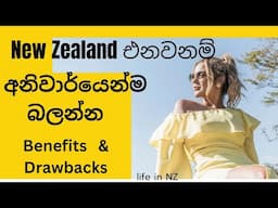 නවසීලන්තයේ ආවොත් ලැබෙන වාසි#newzealand #lifeinnewzealand