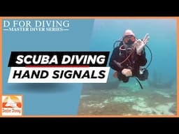 Essential Scuba Diving "Hand Signals" [Master Diver Series]