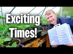 Busy Seed Sowing In April | Allotment Gardening UK