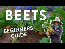 Growing Beets from Seed: A Beginner's Guide to Success