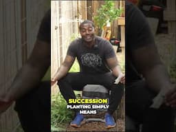 Zone 9 Garden HACKS  Triple Your Harvest with Succession Planting!