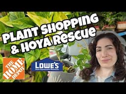 PLANT SHOPPING & HOYA RESCUE!! 🌿Home  Depot & Lowe's in Manchester, NH 🖤