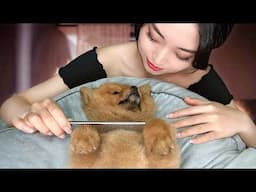 [ASMR] Sleep Inducing Dog Spa