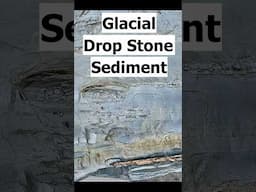 Iceberg Dropstone Sediments--Tacoma, Washington