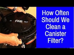 Too Soon or Too Late *ARE BOTH BAD!* - When Should We Service A Canister Filter?