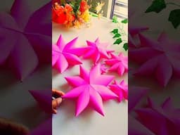 Untitled video