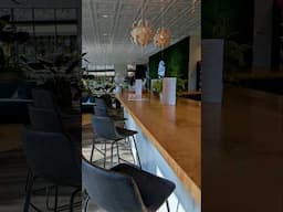Bold Coffee & Plant Vibes in Chattanooga! | Plant Bar Experience #Chattanooga  #TravelShorts