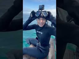 Catching my dinner 🐟🐠🦈