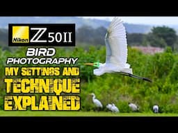 Nikon Z50II Bird Photography | My SETTINGS And TECHNIQUE Explained!