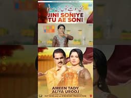 kina lafza vich soniye kra tareef me Teri - Ameen Tady & Aliya Urooj