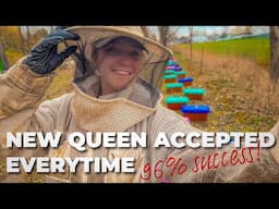 STOP Losing Queens! Genius Tricks for Perfect Hive Introductions / Beekeeping 101 #beekeeping