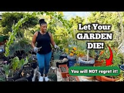Just Let Your GARDEN DIE! You Will Love The Results