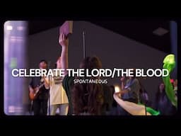 Celebrate The Lord/The Blood - Ashley Stringer (Spontaneous)