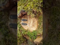 Secret fairy door DIY