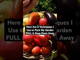 3 Ways to Pack Your Garden & Keep Pests Away! ⏬