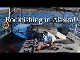First Jig Trip on the Emerald Isle! | Rock Fish Jigging