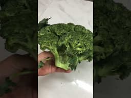 Biggest Broccoli Head I've ever seen  - Venezuela Now - Jan 9th 2025
