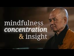 Mindfulness, Concentration, and Insight | Teaching by Thich Nhat Hanh | #mindfulness