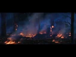 What if, Metal Sonic can talk in Sonic the Hedgehog 3: the movie
