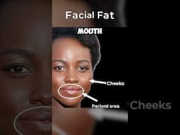 FACIAL Fat Distribution by RACE #anthropology #antiaging