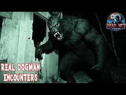 You're Not Alone: 21 Dogman Encounters That Will Make You Think Twice!