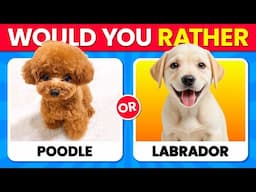 Would You Rather...? DOGS Edition 🐶🐾 Which Dog is Cuter? ❤️✨