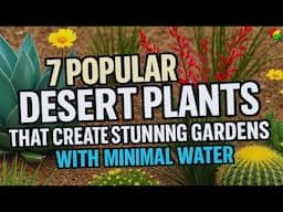 7 Popular Desert Plants That Create Stunning Gardens With Minimal Water!