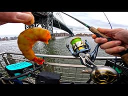 East River Fishing NYC Tackle and Lures