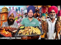 Best Non Veg Street Food Ludhiana |  Rs.40/- MUTTON SAMOSA | NAWABI BIRYANI #ludhianastreetfood