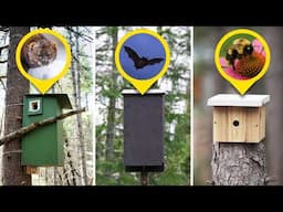 Year 3 Begins: Building Wildlife Boxes for 20+ Species