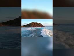 If nature can speak, what would your lens tell?