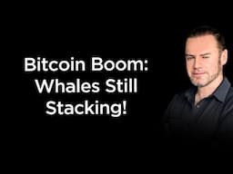 Bitcoin Wealth Pyramid Update: Who's Leading the Race?