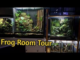 FROG ROOM TOUR 2024 - All my Poison Dart Frogs, Tarantulas & Geckos