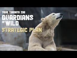 Your Toronto Zoo's Guardians Of Wild Strategic Plan
