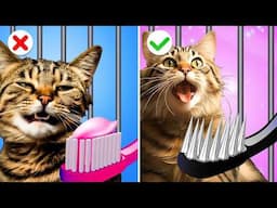 Is It A Castle🏰 Or A House🏠 For A Kitten? Building Secret Room in Jail || Cool Pet Hacks