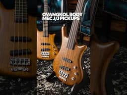 What's Your Pick?! | Warwick Thumb Teambuilt Fretted or Fretless?