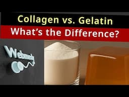 Collagen vs. Gelatin: Which One Should You Take?