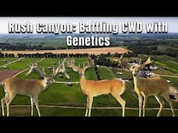 Breeding for the Future: Rush Canyon Ranch's Fight Against CWD
