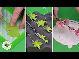 Asian Flowers For Cakes & Clay Crafts - Ginkgo, Japanese Maple & Plum Blossom