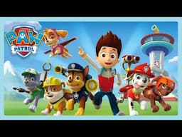 Complete su formación | Paw Patrol | Wildbrain Niños
