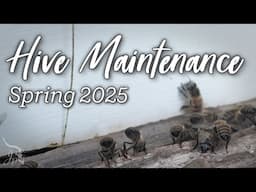 Spring Hive Maintenance