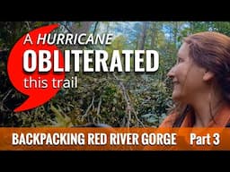 Hiking Through Hurricane Damage – Clifty Wilderness, Red River Gorge KY, Solo Backpacking Day 3 Pt 1