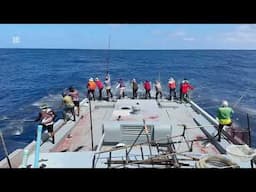 Full video of catching 6 tons of skipjack tuna 🎣