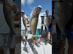 Awesome deep drop course with @DrippedOutFishing  ​⁠#deepdrop #fishing