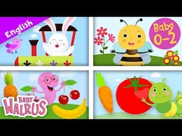 My First Words | Fun & Educational Learning Compilation | Animals, Shapes, Fruits & More! 🍎