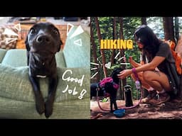 PUPPY UPDATE! our first hike together :)